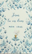 image de communion garçon bleue